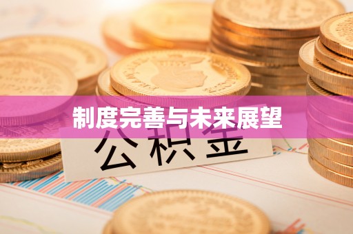 交口制度完善与未来展望