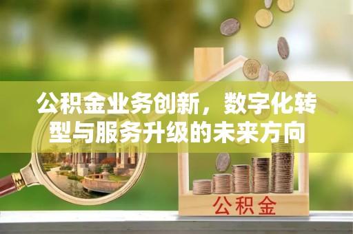 交口公积金业务创新，数字化转型与服务升级的未来方向
