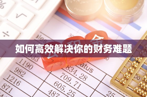 交口如何高效解决你的财务难题