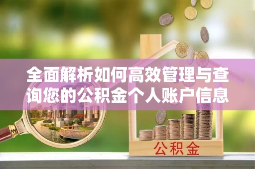 交口全面解析如何高效管理与查询您的公积金个人账户信息