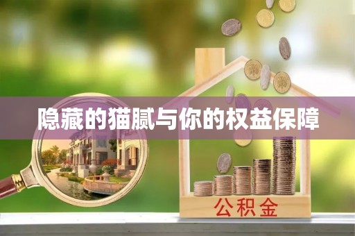 交口隐藏的猫腻与你的权益保障