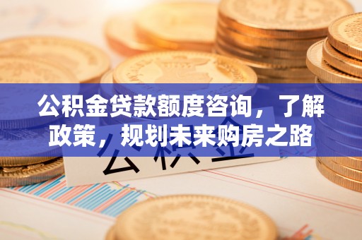 交口公积金贷款额度咨询，了解政策，规划未来购房之路