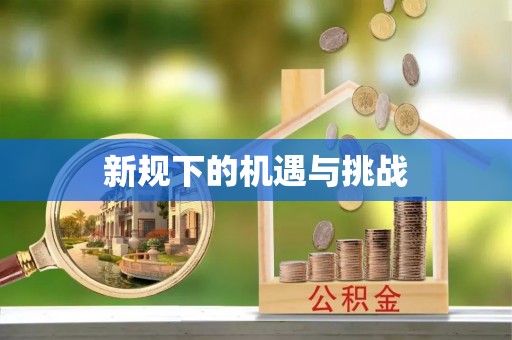 交口新规下的机遇与挑战
