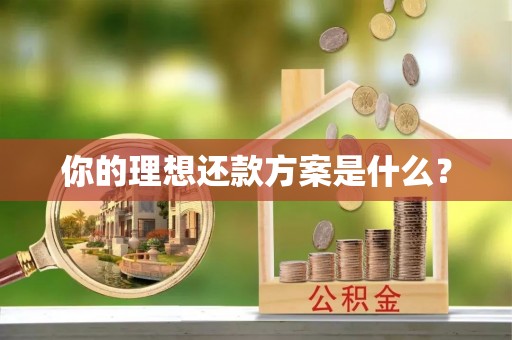 交口你的理想还款方案是什么？