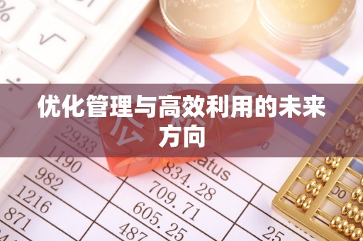 交口优化管理与高效利用的未来方向