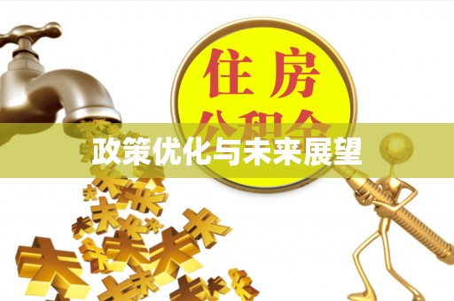 交口政策优化与未来展望