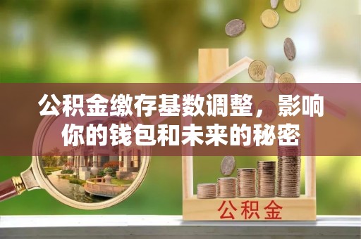 交口公积金缴存基数调整，影响你的钱包和未来的秘密