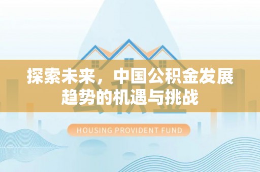 交口探索未来，中国公积金发展趋势的机遇与挑战