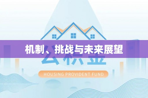 交口机制、挑战与未来展望
