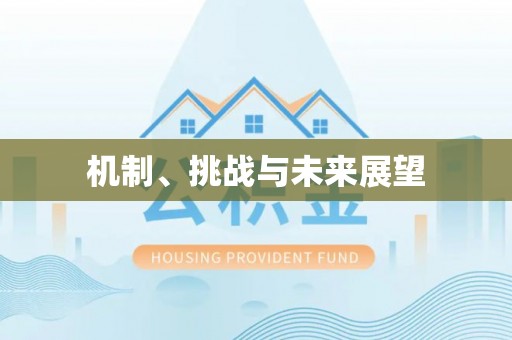 交口机制、挑战与未来展望